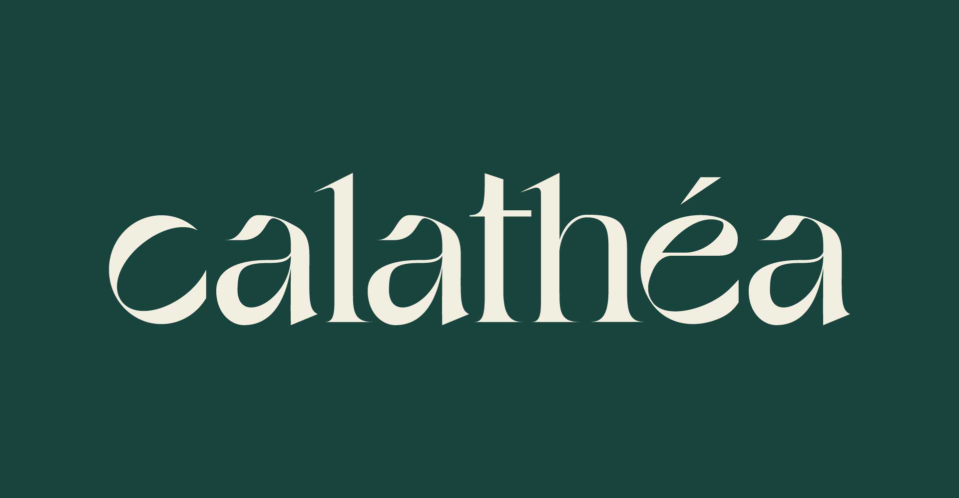 Présentation du logo Calathéa sur fond foncé